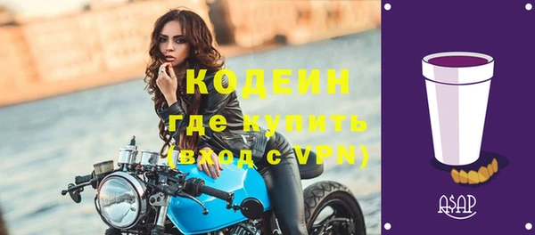 индика Лабытнанги