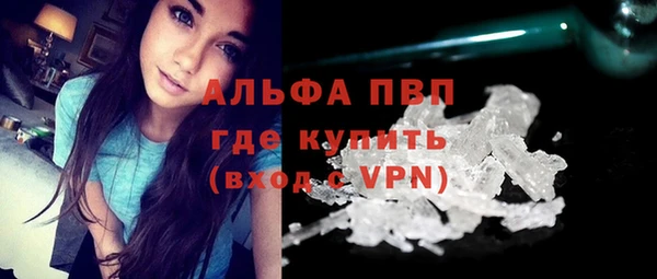 индика Лабытнанги