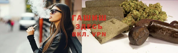 индика Лабытнанги