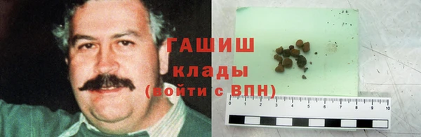 индика Лабытнанги
