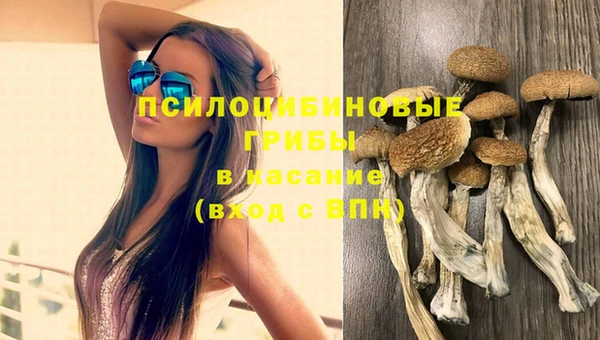 индика Лабытнанги