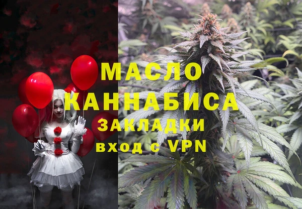 индика Лабытнанги