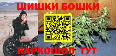 мяу мяу мука Аргун