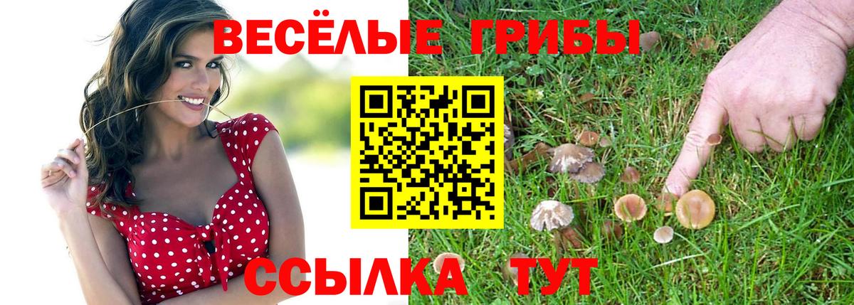 Псилоцибиновые грибы мухоморы Мелеуз