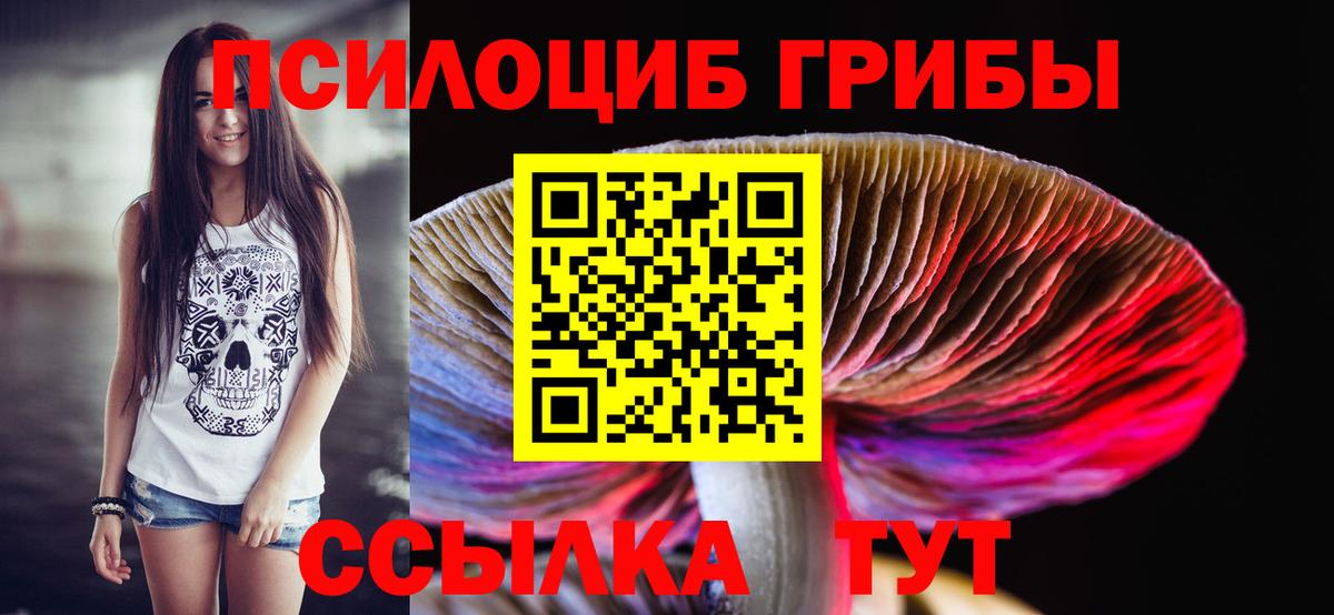Псилоцибиновые грибы Cubensis  Галлюциногенные грибы Psilocybe  Мелеуз 