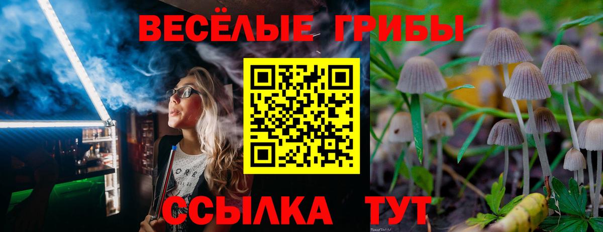 Мелеуз  Галлюциногенные грибы Magic Shrooms  Вход с VPN 